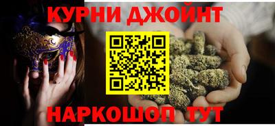 сатива Гатчина