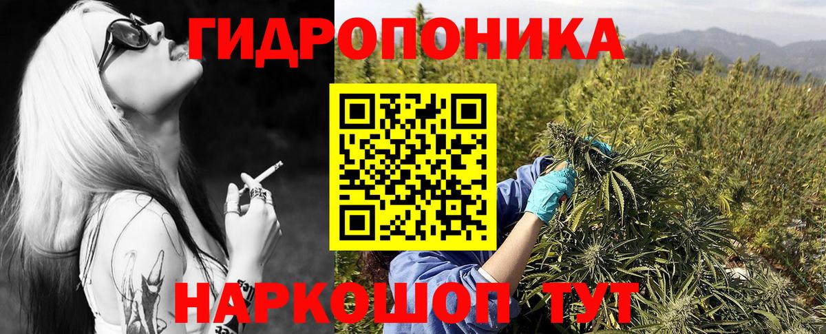 Бошки марихуана SATIVA & INDICA  Каннабис конопля  Губаха  Вход с VPN 